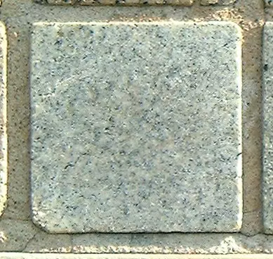 Stone 5RB24 from the Stone Wall at NIST