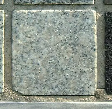 Stone 5RB38 from the Stone Wall at NIST