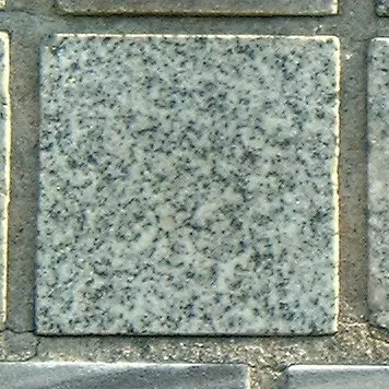 Stone 5RB39 from the Stone Wall at NIST