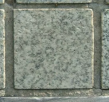 Stone 5RB40 from the Stone Wall at NIST