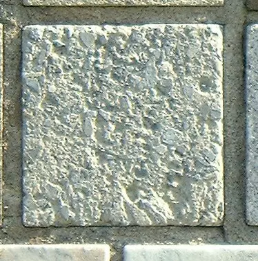 Stone 5RB45 from the Stone Wall at NIST