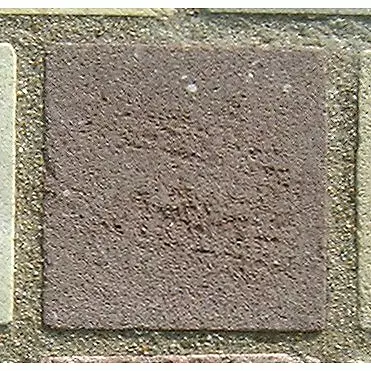 Stone 6LA12 from the Stone Wall at NIST