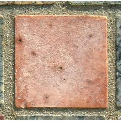 Stone 6LA24 from the Stone Wall at NIST