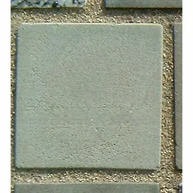 Stone 6LA28 from the Stone Wall at NIST