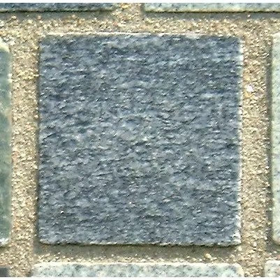 Stone 6LA36 from the Stone Wall at NIST