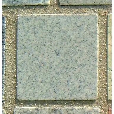 Stone 6LA37 from the Stone Wall at NIST