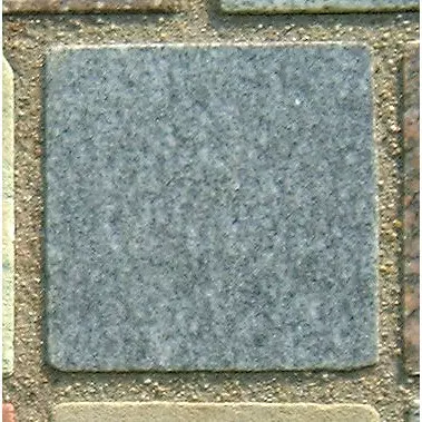 Stone 6LA39 from the Stone Wall at NIST