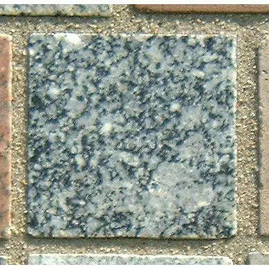 Stone 6LA41 from the Stone Wall at NIST