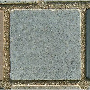 Stone 6LA44 from the Stone Wall at NIST