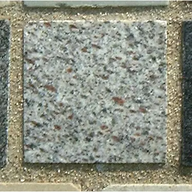 Stone 6LB17 from the Stone Wall at NIST