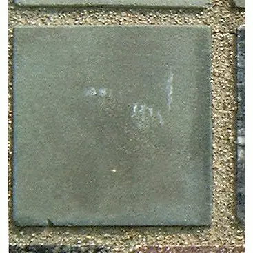 Stone 6LB28 from the Stone Wall at NIST
