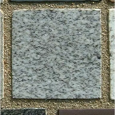 Stone 6LB45 from the Stone Wall at NIST