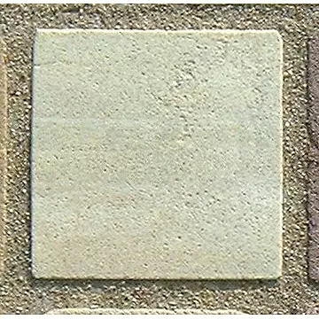 Stone 6La11 from the Stone Wall at NIST