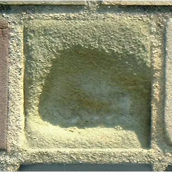 Stone 6RA15 from the Stone Wall at NIST