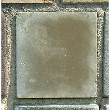 Stone 6RA2 from the Stone Wall at NIST