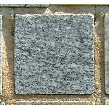 Stone 6RA25 from the Stone Wall at NIST