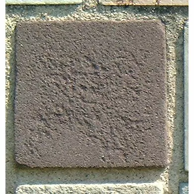 Stone 6RA3 from the Stone Wall at NIST