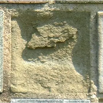 Stone 6RA31 from the Stone Wall at NIST
