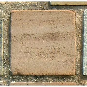 Stone 6RA33 from the Stone Wall at NIST