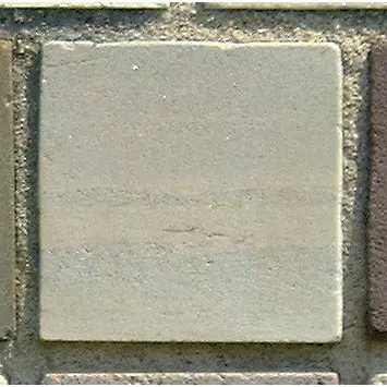 Stone 6RA4 from the Stone Wall at NIST