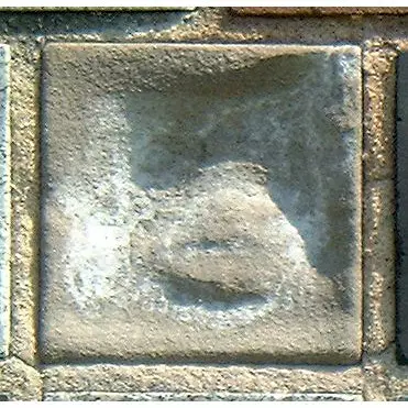 Stone 6RA42 from the Stone Wall at NIST