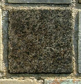 Stone 6RB19 from the Stone Wall at NIST