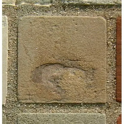 Stone 7LA29 from the Stone Wall at NIST