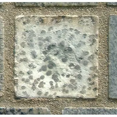 Stone 7LB23 from the Stone Wall at NIST