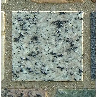 Stone 7LB32 from the Stone Wall at NIST
