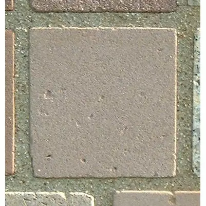 Stone 7LB40 from the Stone Wall at NIST