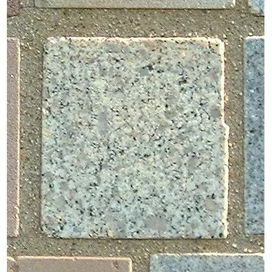 Stone 7LB41 from the Stone Wall at NIST