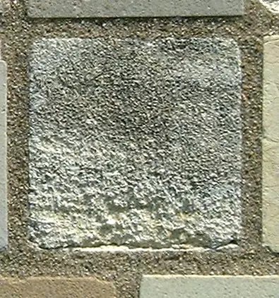 Stone 7LB9 from the Stone Wall at NIST