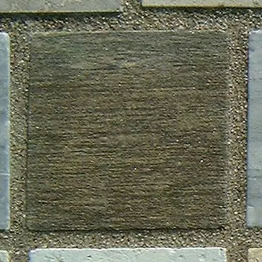 Stone 7La13 from the Stone Wall at NIST