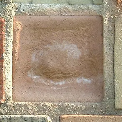 Stone 7RB31 from the Stone Wall at NIST