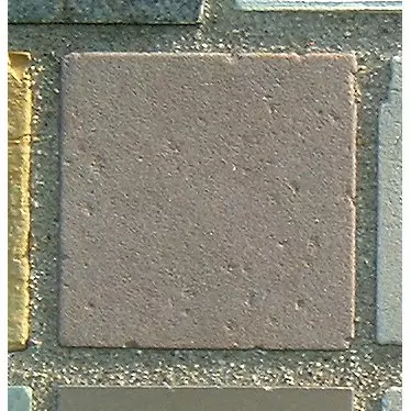 Stone 8LA42 from the Stone Wall at NIST