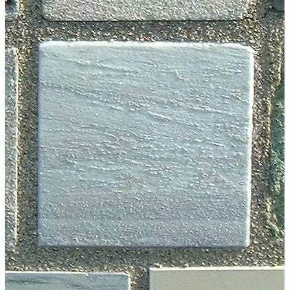 Stone 8LB17 from the Stone Wall at NIST