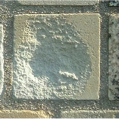 Stone 8LB21 from the Stone Wall at NIST