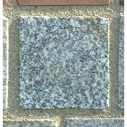 Stone 8LB26 from the Stone Wall at NIST