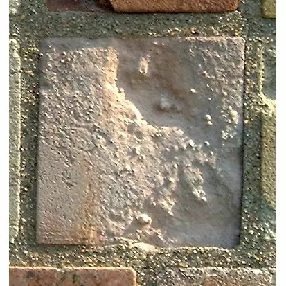 Stone 8LB38 from the Stone Wall at NIST