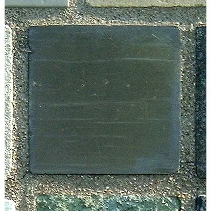 Stone 8La18 from the Stone Wall at NIST