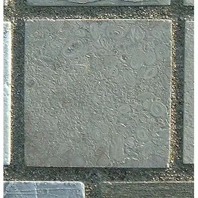 Stone 8Lb14 from the Stone Wall at NIST