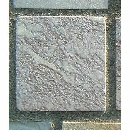 Stone 8Lb4 from the Stone Wall at NIST