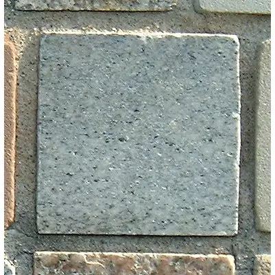 Stone 8RA22 from the Stone Wall at NIST
