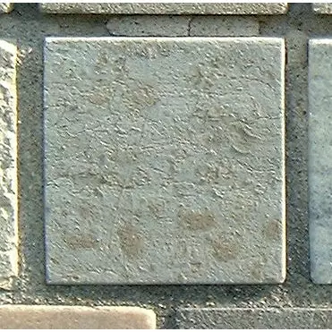 Stone 8RB13 from the Stone Wall at NIST