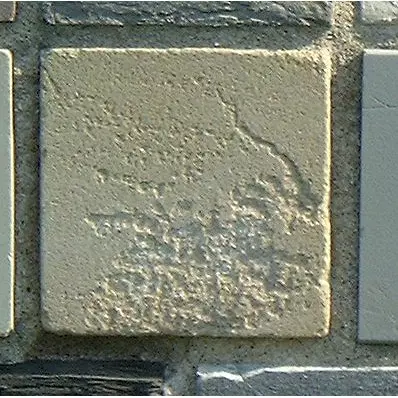 Stone 8RB18 from the Stone Wall at NIST