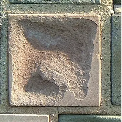 Stone 8RB29 from the Stone Wall at NIST
