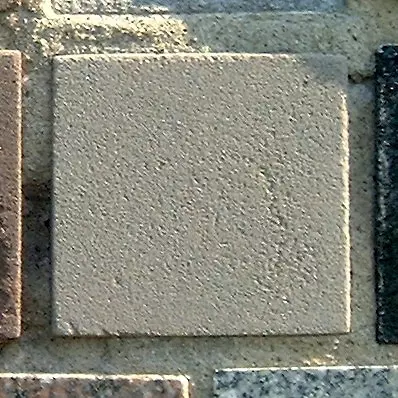 Stone 8RB39 from the Stone Wall at NIST