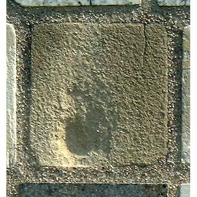 Stone 9LA40 from the Stone Wall at NIST