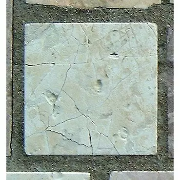 Stone 9LB1 from the Stone Wall at NIST