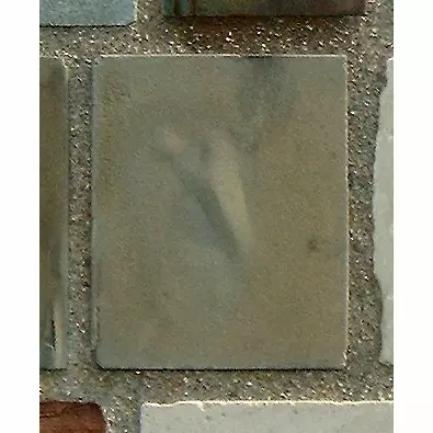 Stone 9LB31 from the Stone Wall at NIST